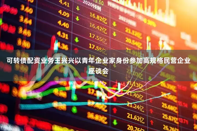 可转债配资业务王兴兴以青年企业家身份参加高规格民营企业座谈会