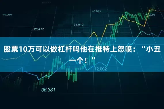股票10万可以做杠杆吗他在推特上怒喷：“小丑一个！”